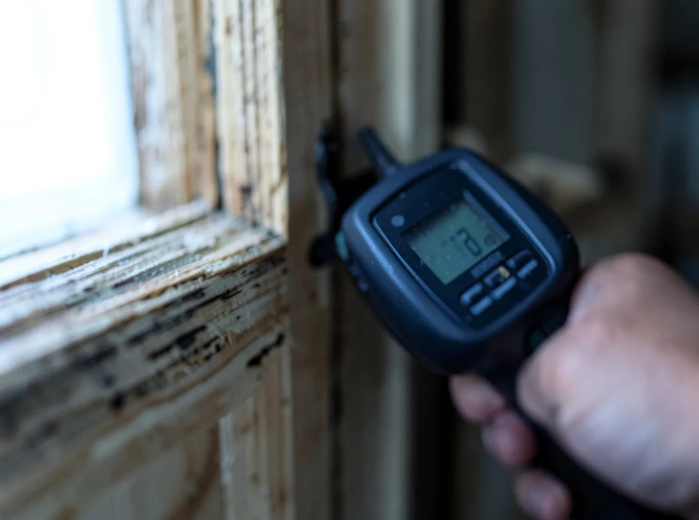 Moisture Inspection And Documentation in Castle Rock, CO